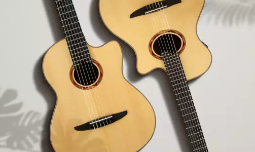 مشخصات گیتار یاماها NTX700